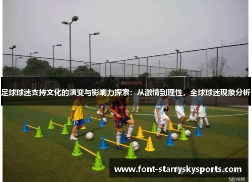 足球球迷支持文化的演变与影响力探索：从激情到理性，全球球迷现象分析