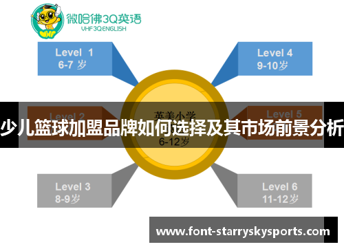 少儿篮球加盟品牌如何选择及其市场前景分析