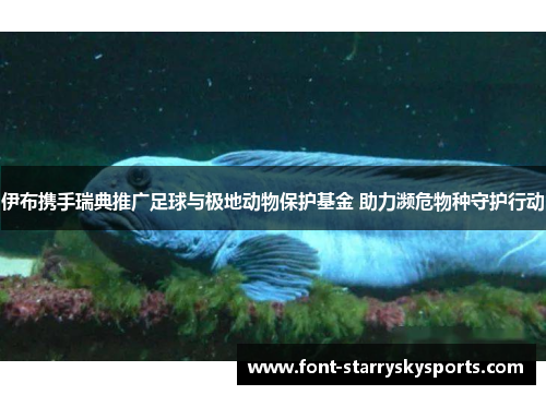 伊布携手瑞典推广足球与极地动物保护基金 助力濒危物种守护行动