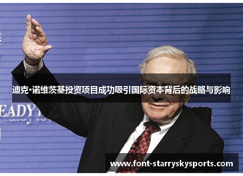 迪克·诺维茨基投资项目成功吸引国际资本背后的战略与影响