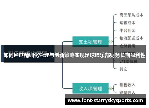 如何通过精细化管理与创新策略实现足球俱乐部财务长期盈利性