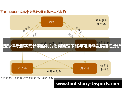 足球俱乐部实现长期盈利的财务管理策略与可持续发展路径分析