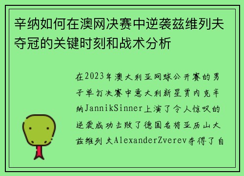 辛纳如何在澳网决赛中逆袭兹维列夫夺冠的关键时刻和战术分析