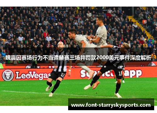 魏震因赛场行为不当遭禁赛三场并罚款2000美元事件深度解析