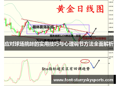 应对球场挑衅的实用技巧与心理调节方法全面解析
