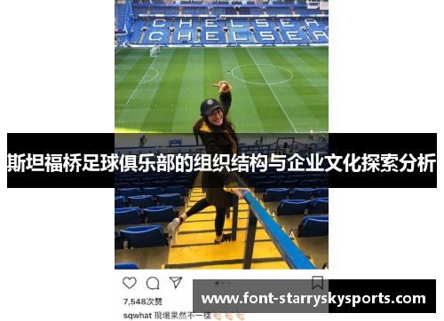 斯坦福桥足球俱乐部的组织结构与企业文化探索分析
