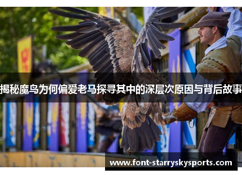 揭秘魔鸟为何偏爱老马探寻其中的深层次原因与背后故事